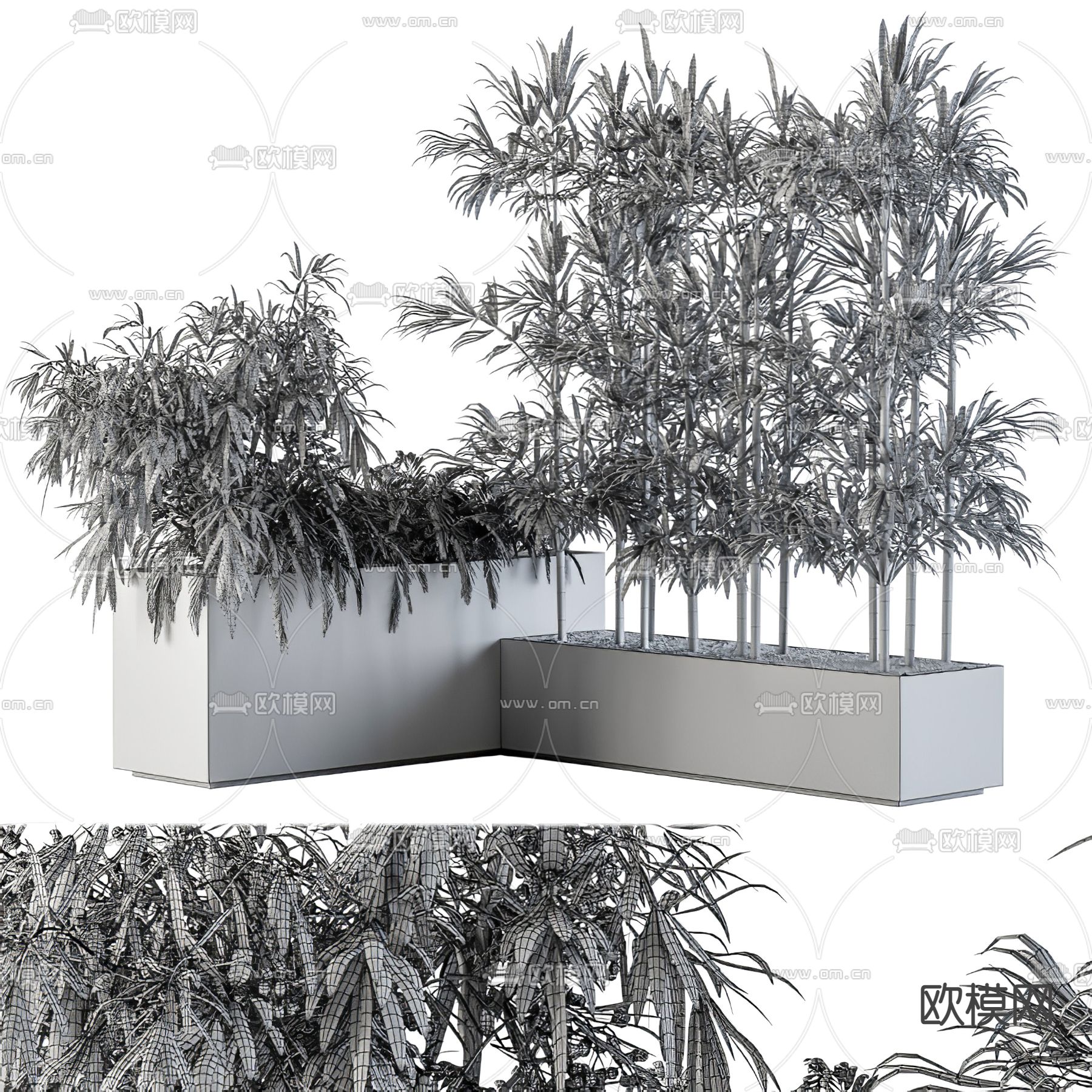现代绿植竹子盆栽3d模型下载（渲染图4）