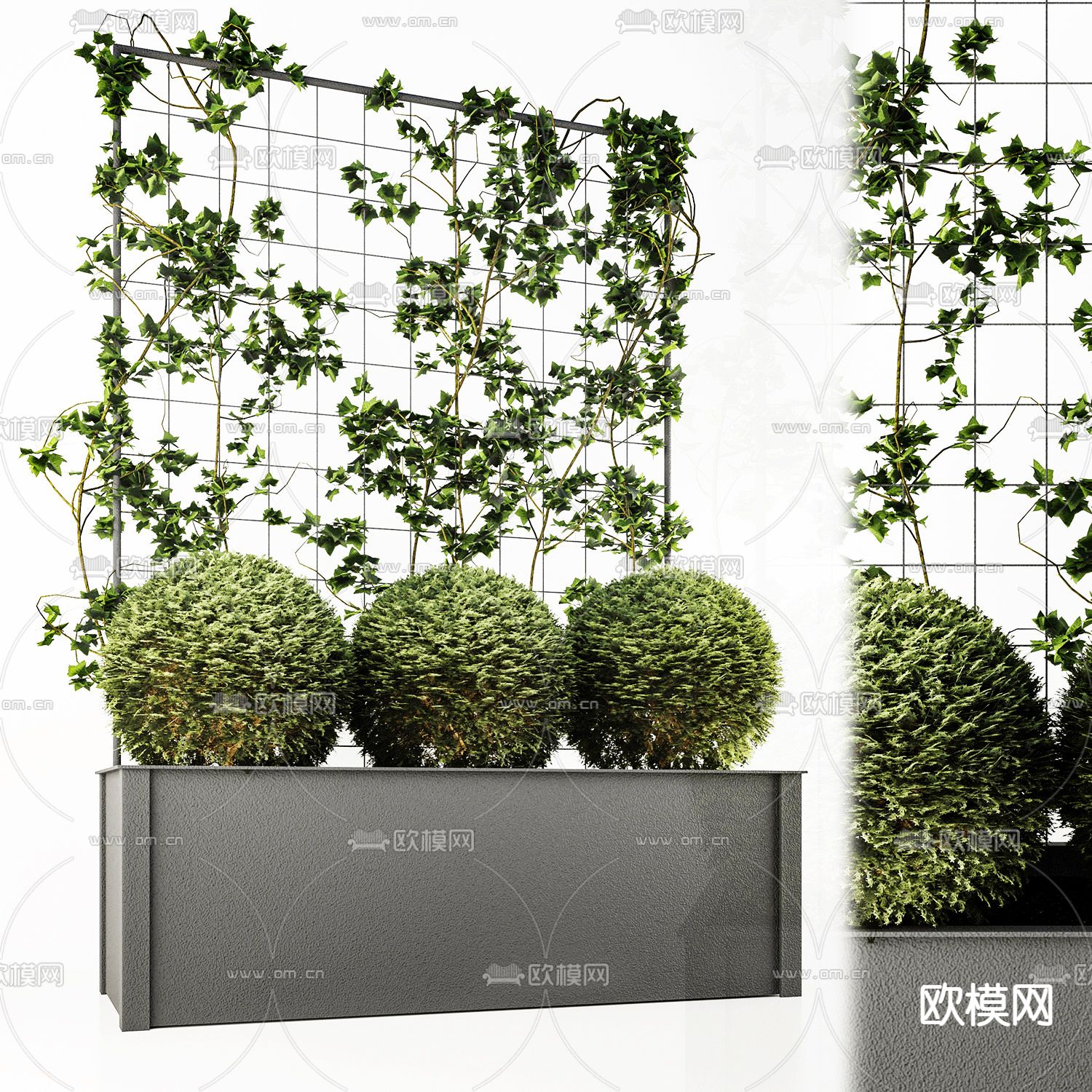 现代绿植盘栽植物墙3d模型下载（渲染图2）