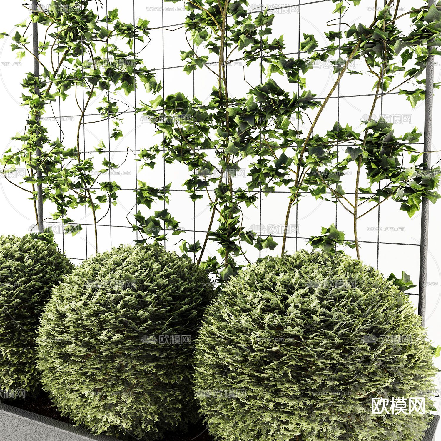 现代绿植盘栽植物墙3d模型下载（渲染图3）