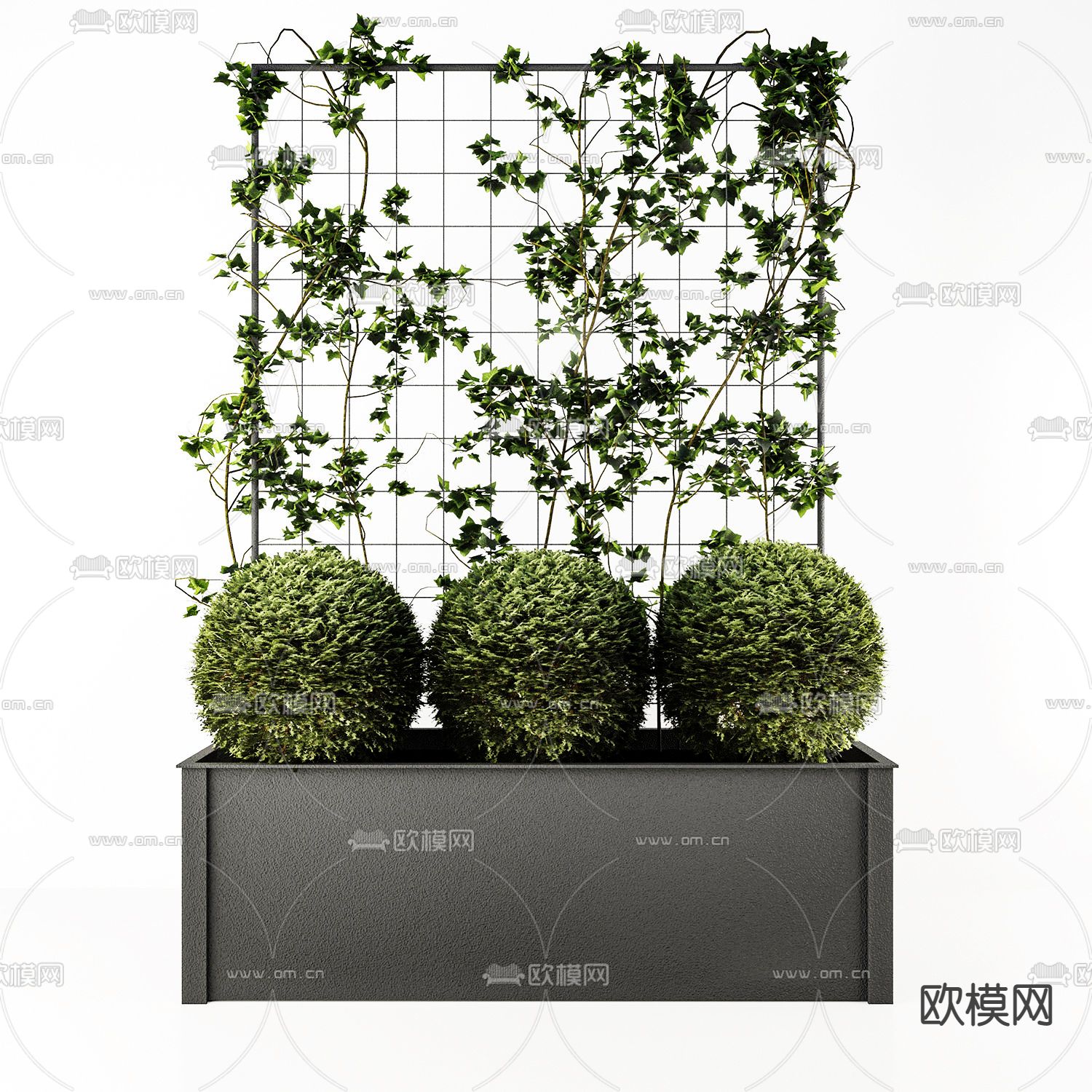 现代绿植盘栽植物墙3d模型下载（渲染图1）