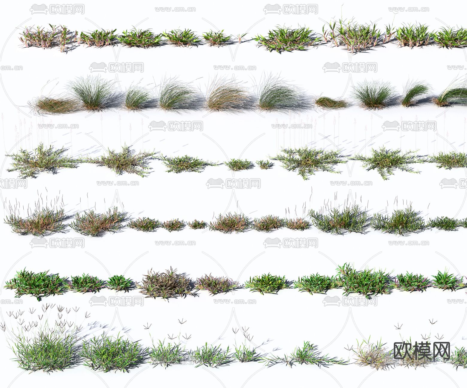 现代花草野草3d模型下载（渲染图2）