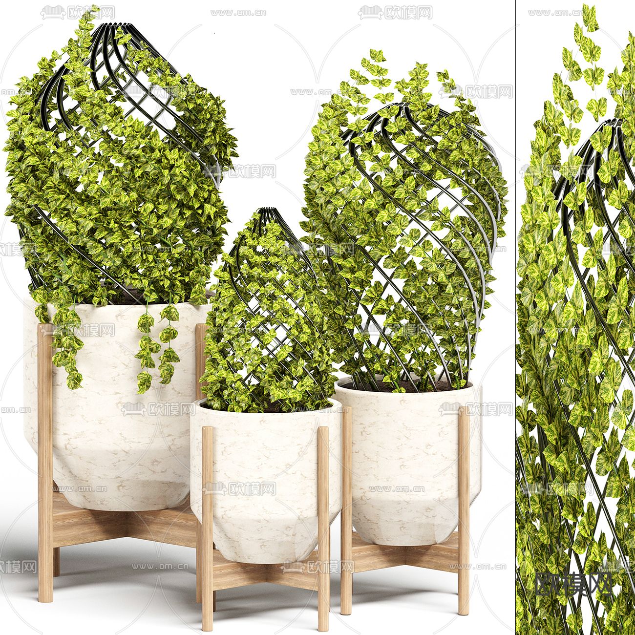 现代绿植盆栽藤蔓3d模型下载