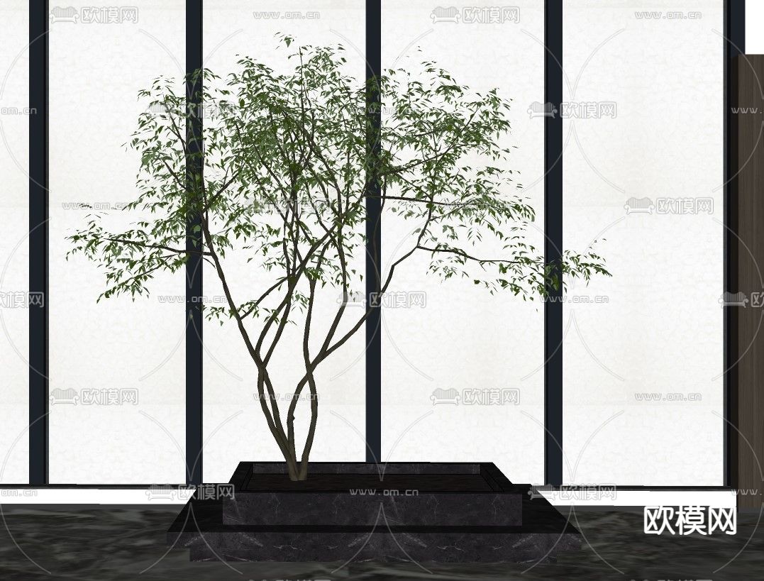 现代室内景观树su模型下载（渲染图2）