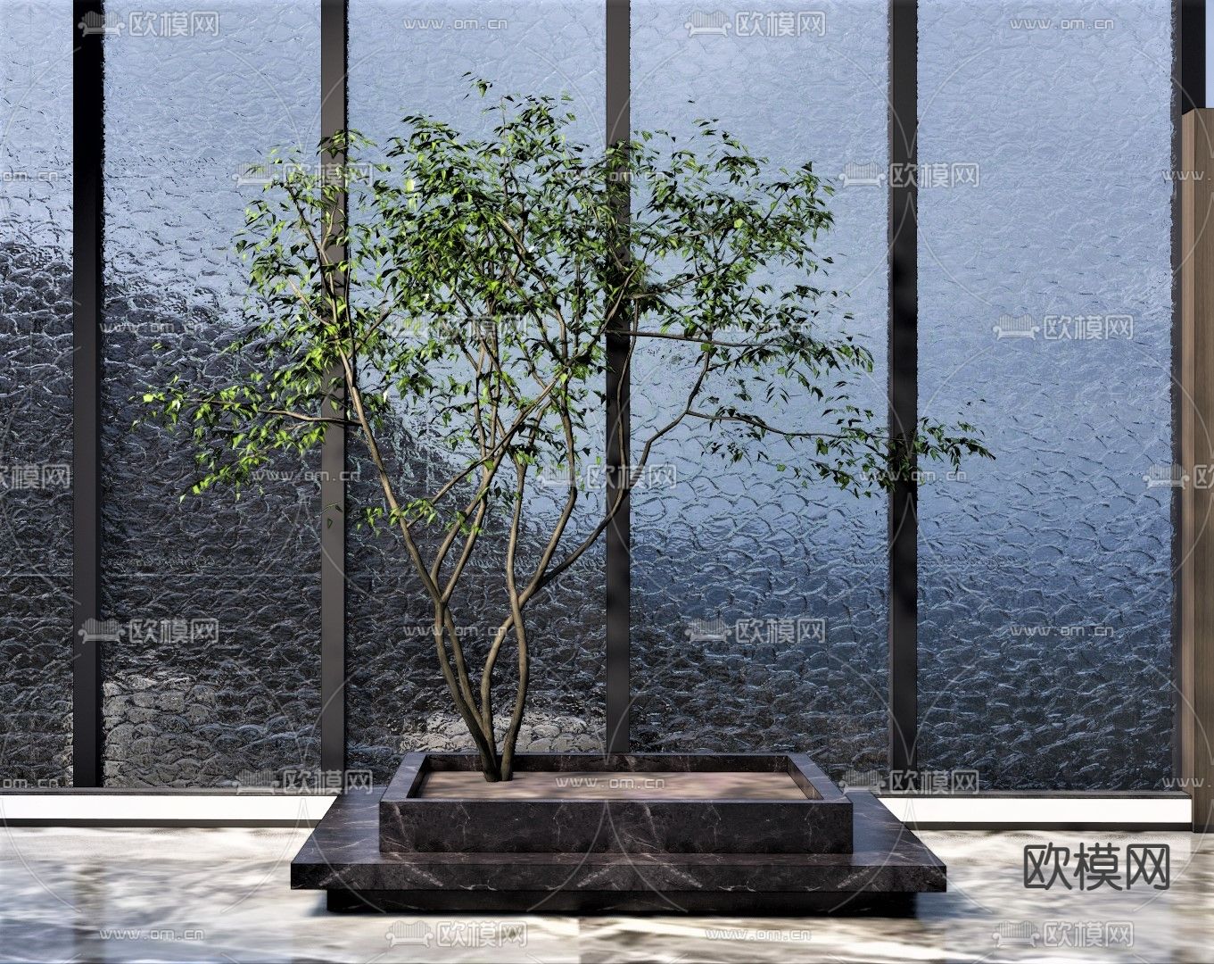 现代室内景观树su模型下载（渲染图1）