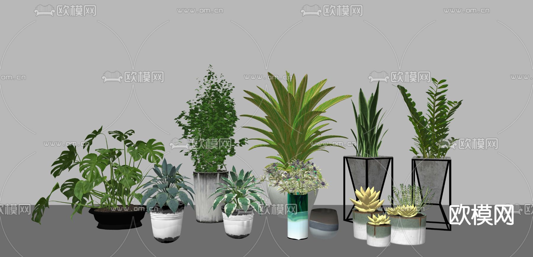 现代多肉植物su模型下载