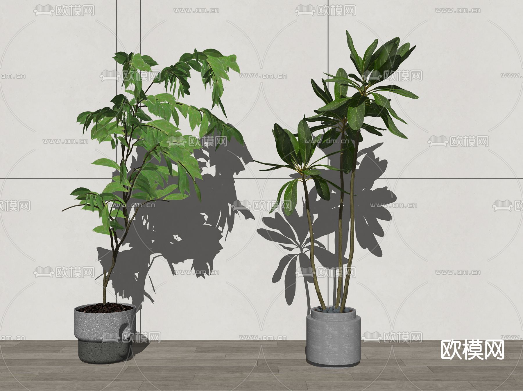 现代绿植盆栽su模型下载（渲染图2）