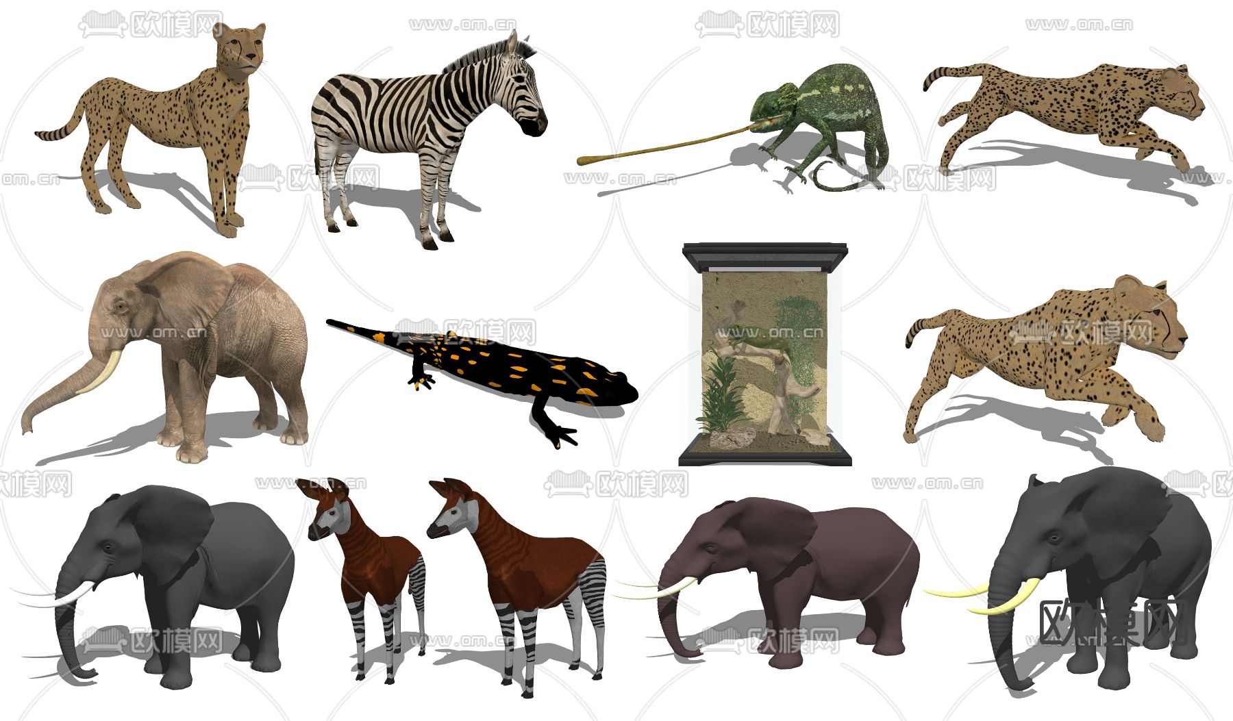 现代野生动物su模型下载
