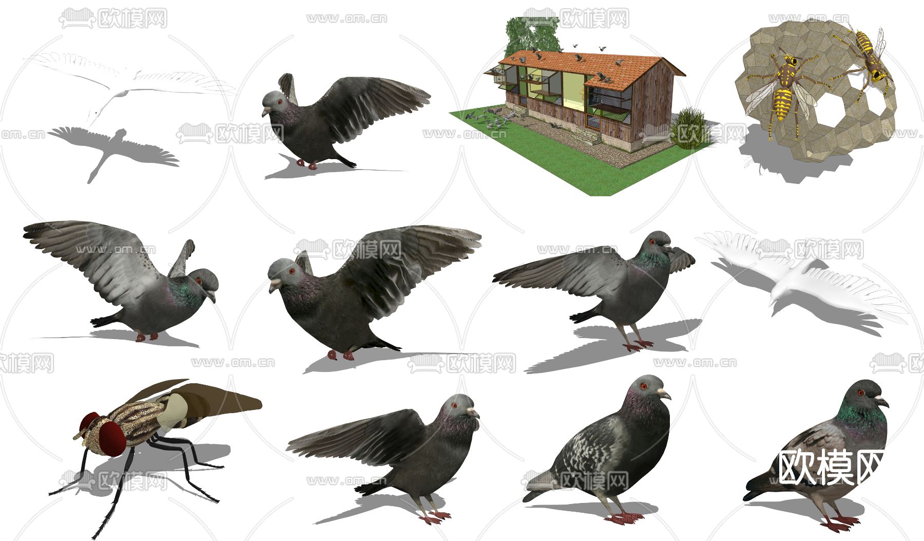 现代动物鸽子su模型下载