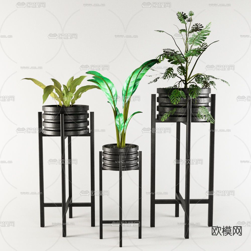 现代绿植盆栽免费3d模型下载