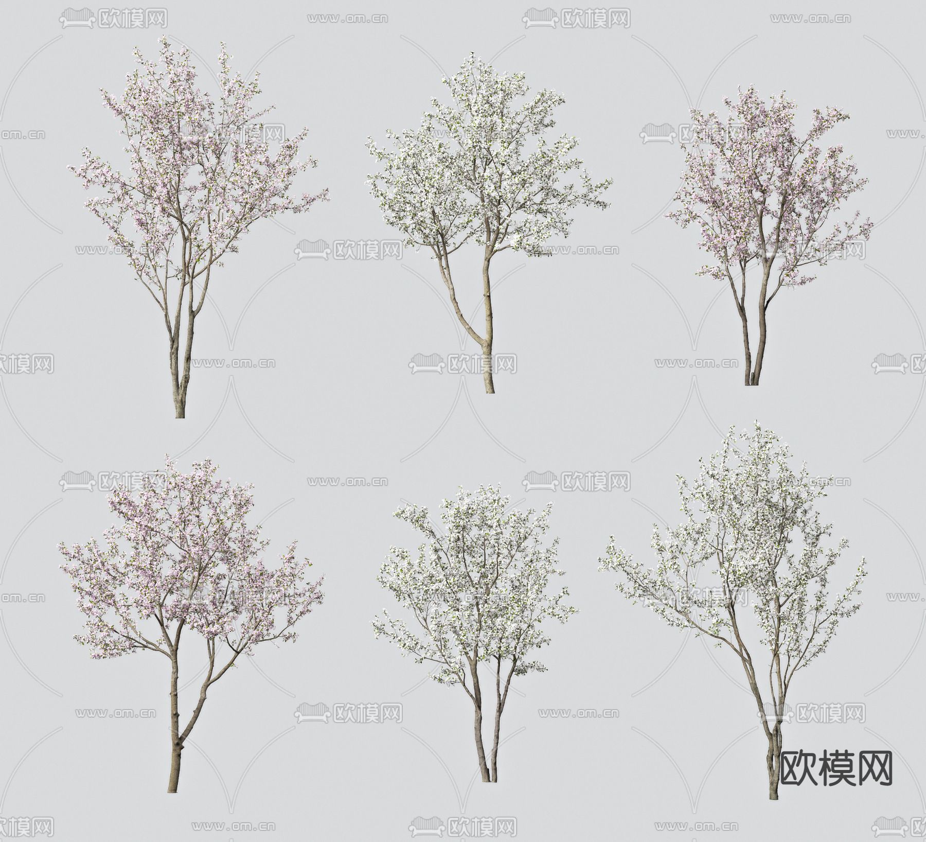 现代樱桃树3d模型下载