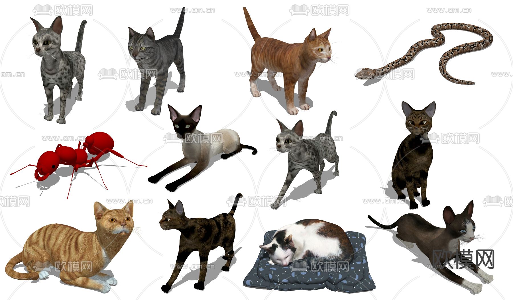 现代动物猫su模型
