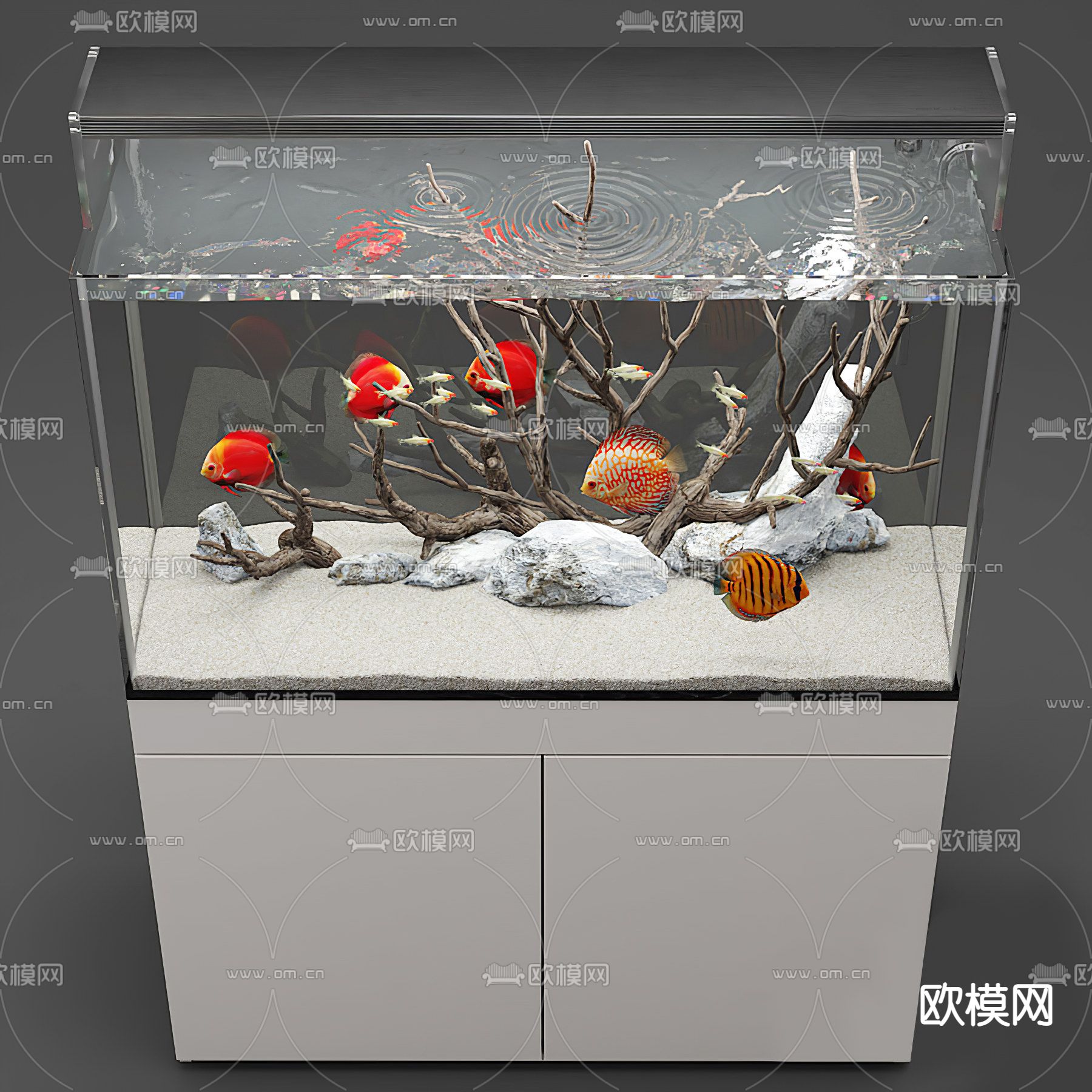 现代玻璃鱼缸3d模型