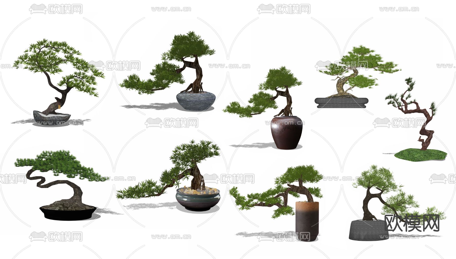 新中式罗汉松绿植盆栽su模型下载