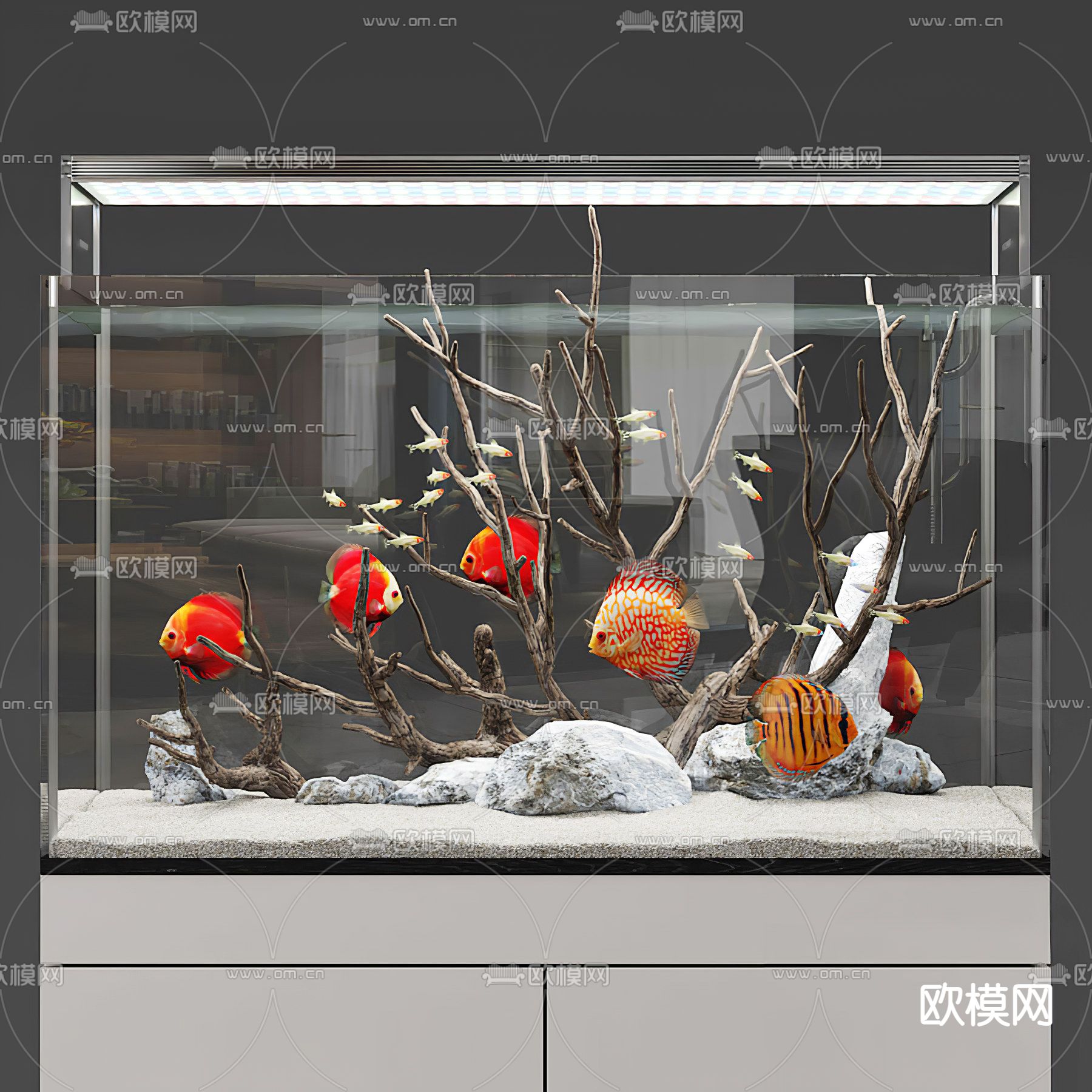 现代玻璃鱼缸3d模型