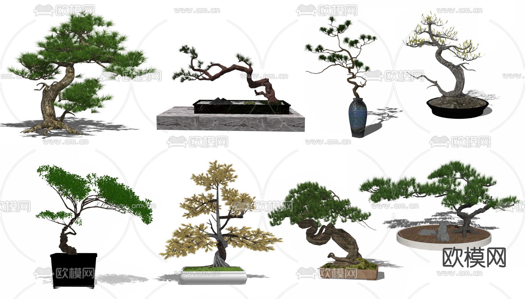 新中式罗汉松绿植盆栽su模型下载