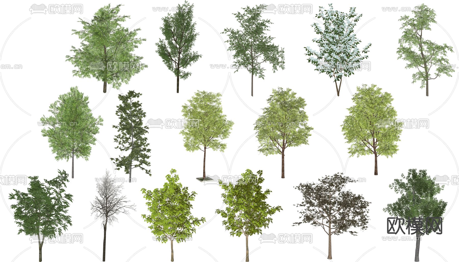 现代景观树su模型下载