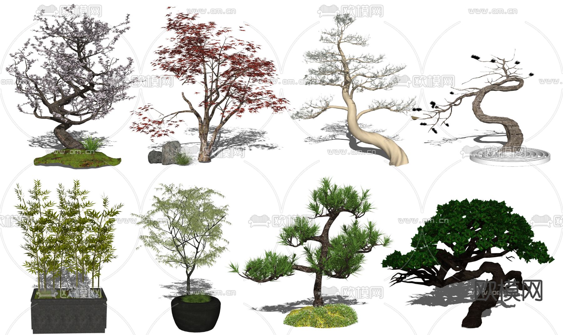 新中式景观树su模型下载