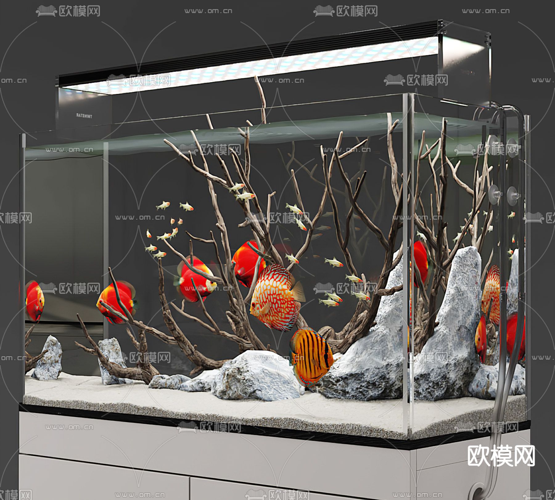 现代玻璃鱼缸3d模型