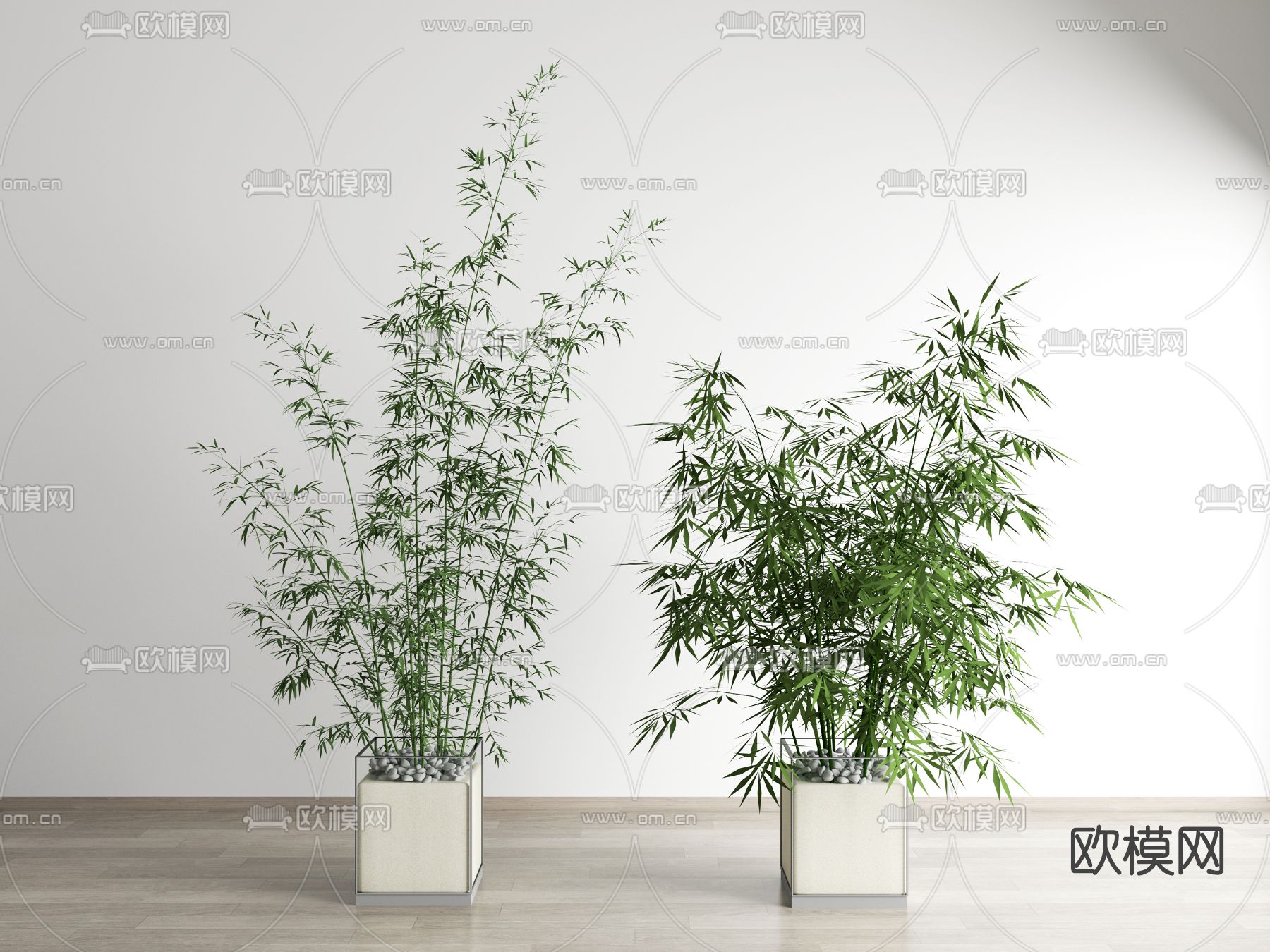 现代盆栽竹子盆景su模型