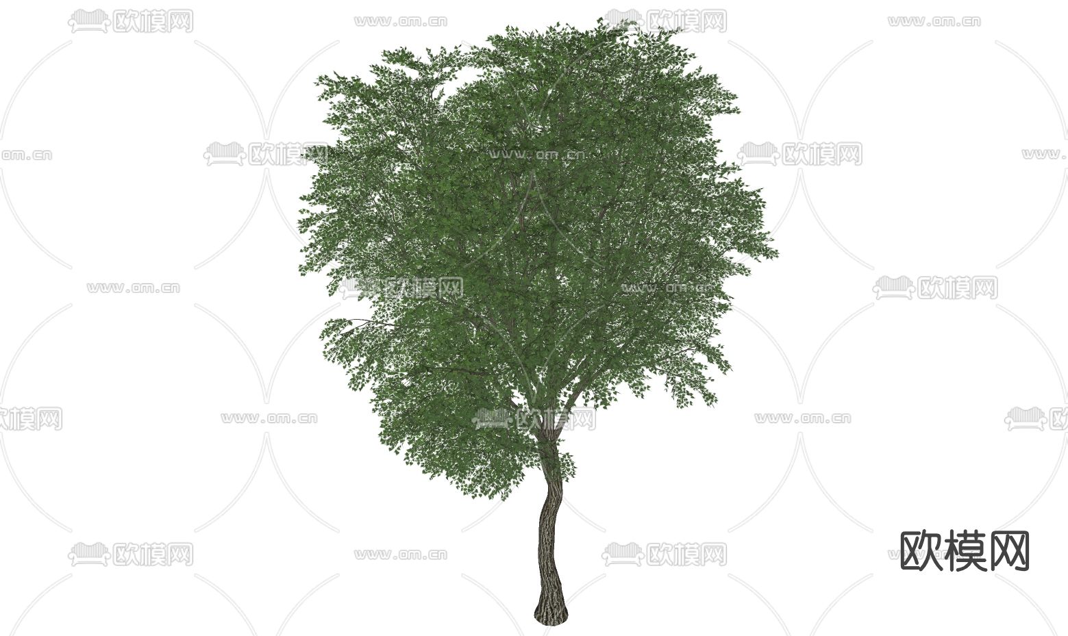 现代树木景观树su模型下载