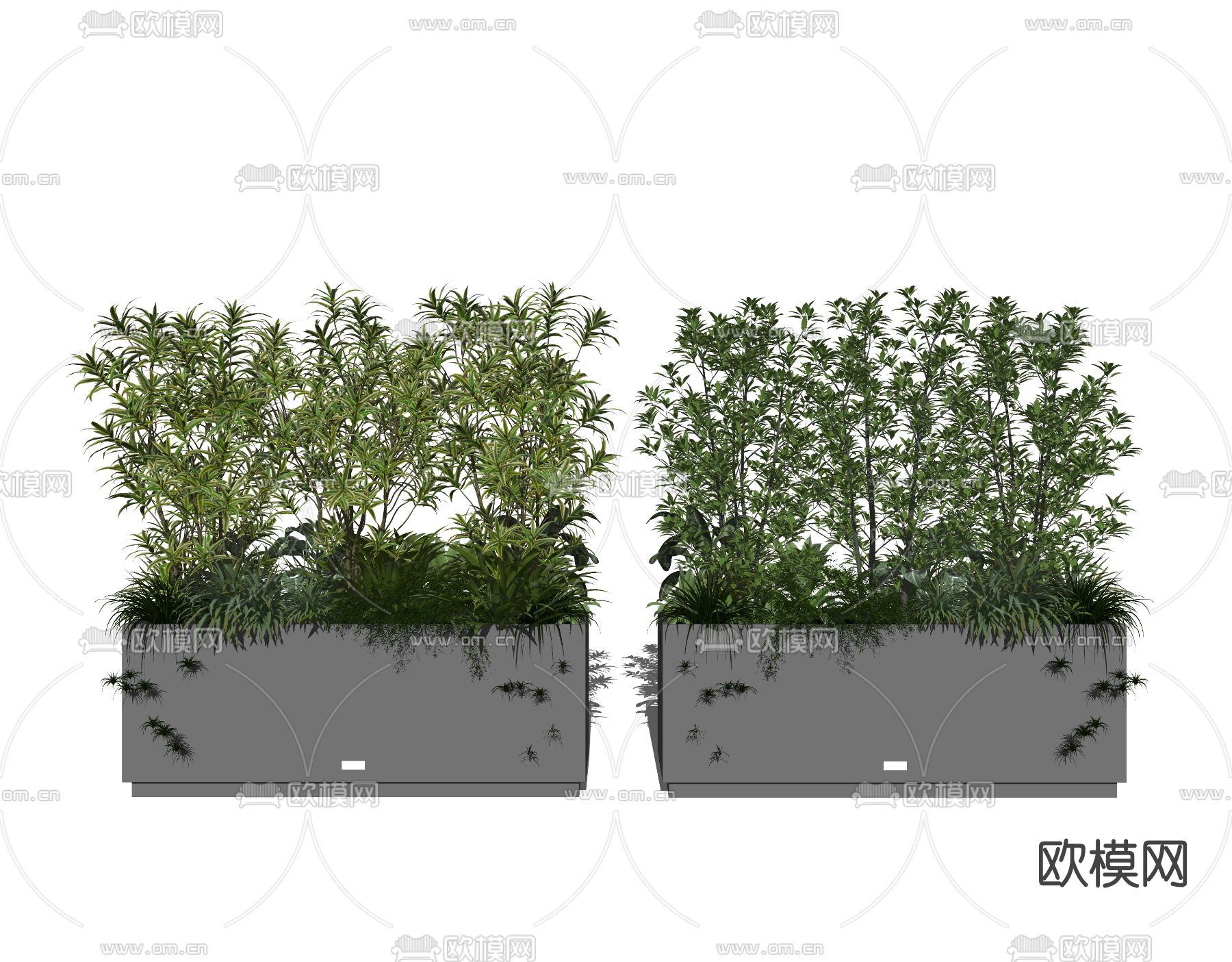 现代植物盆栽su模型下载