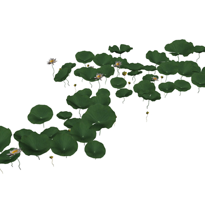  现代荷叶su模型 