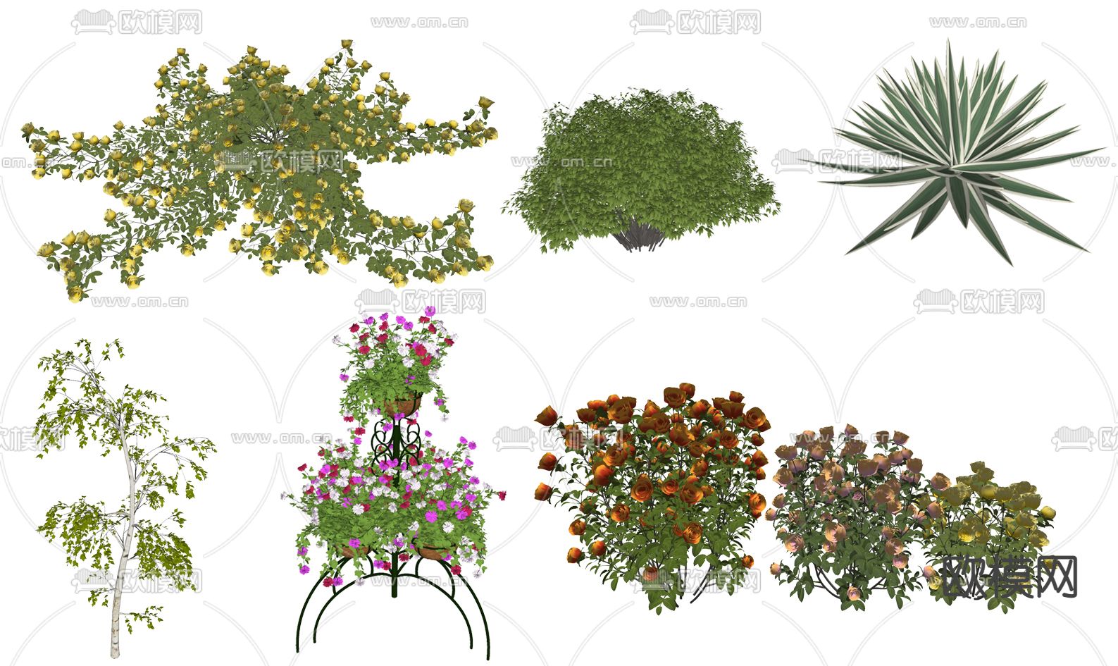 现代花草灌木su模型下载