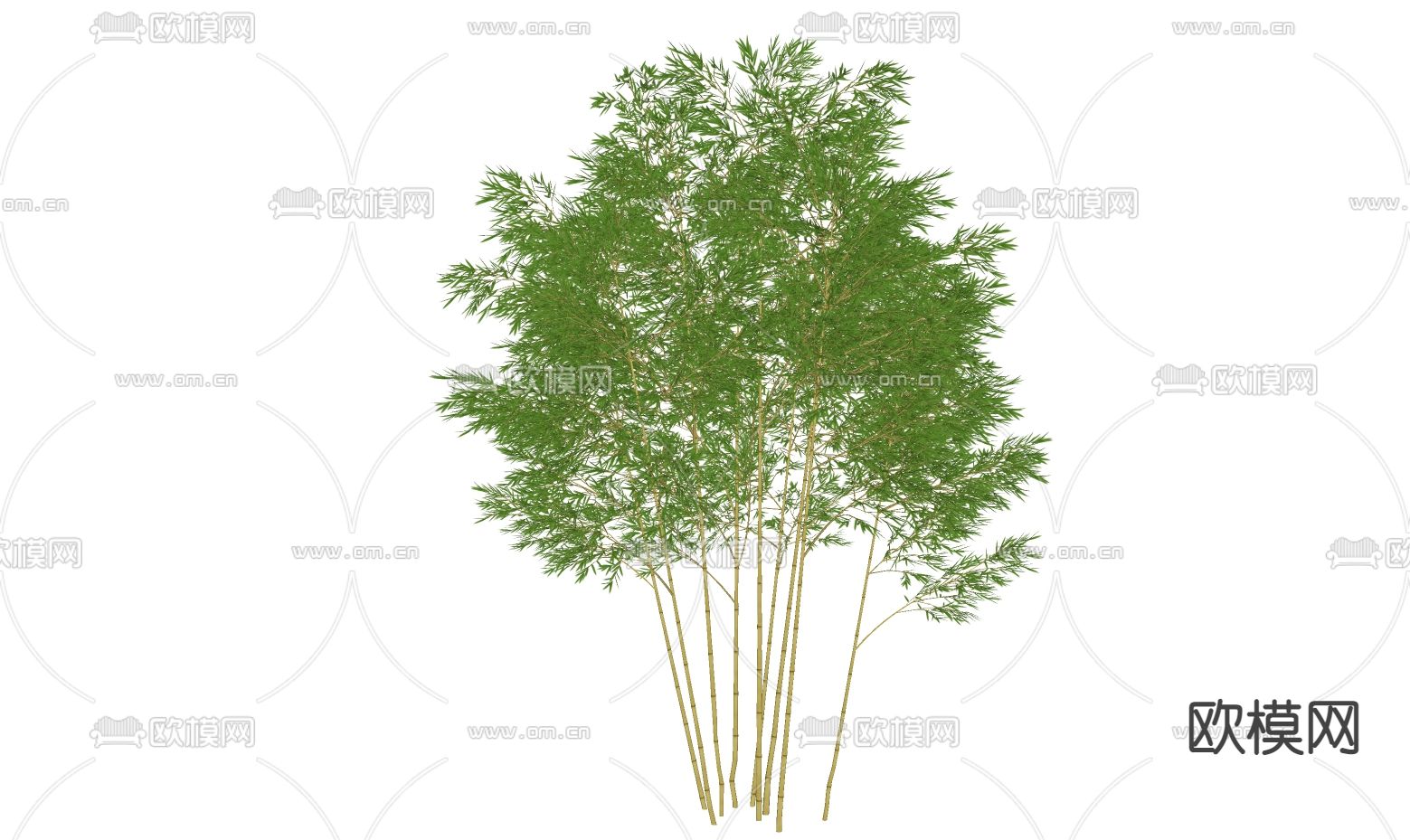 现代竹子su模型