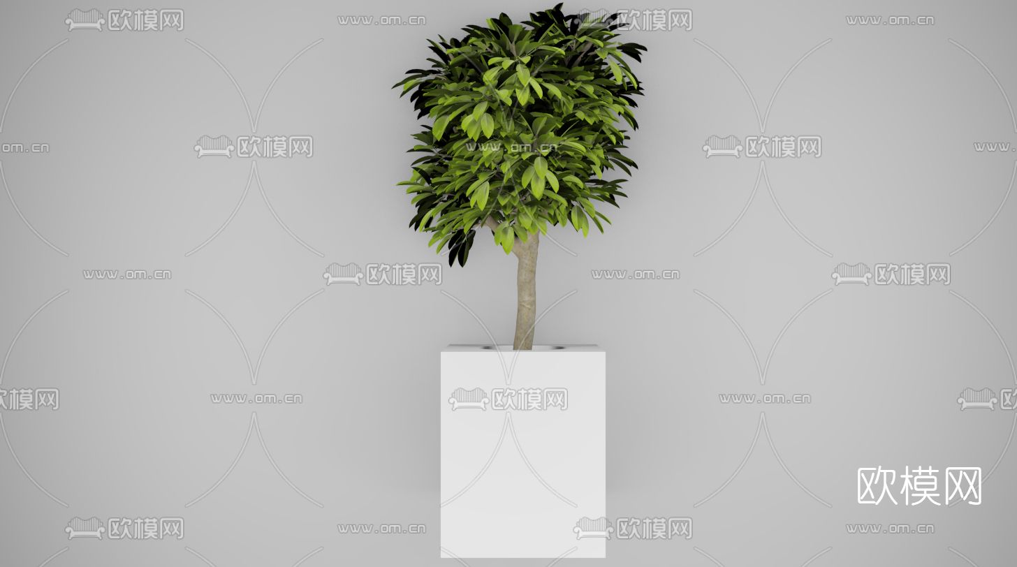 现代绿植盆栽免费3d模型下载_id:11531023_3dmax免费模型-欧模网