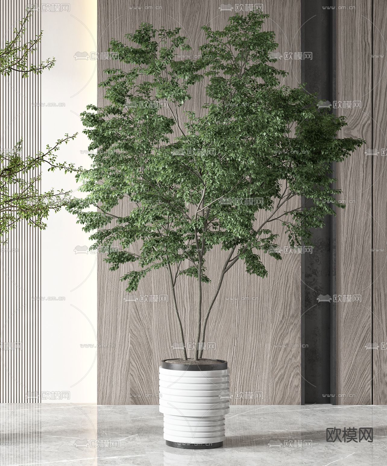 现代植物盆栽3d模型下载（渲染图3）