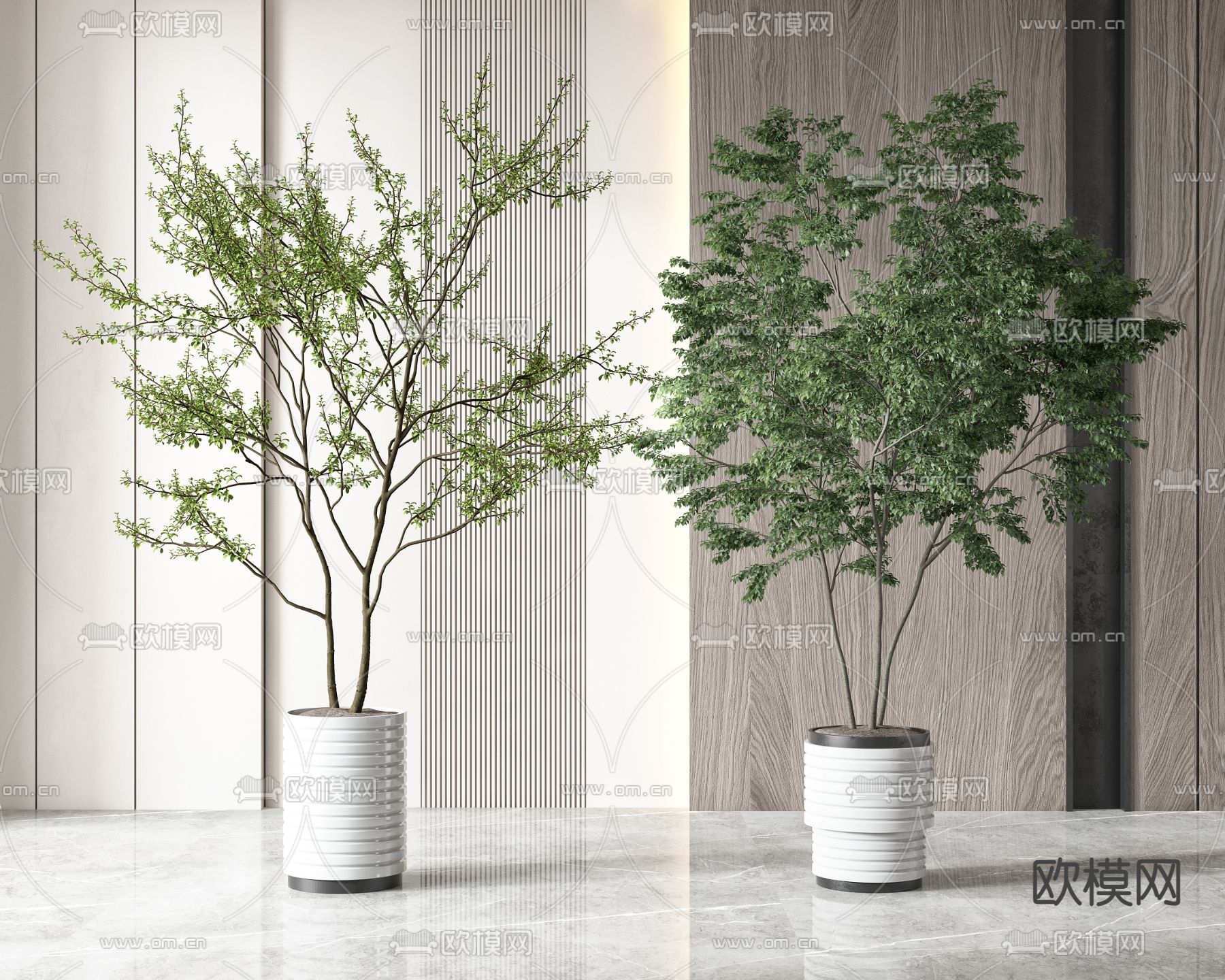 现代植物盆栽3d模型下载（渲染图1）