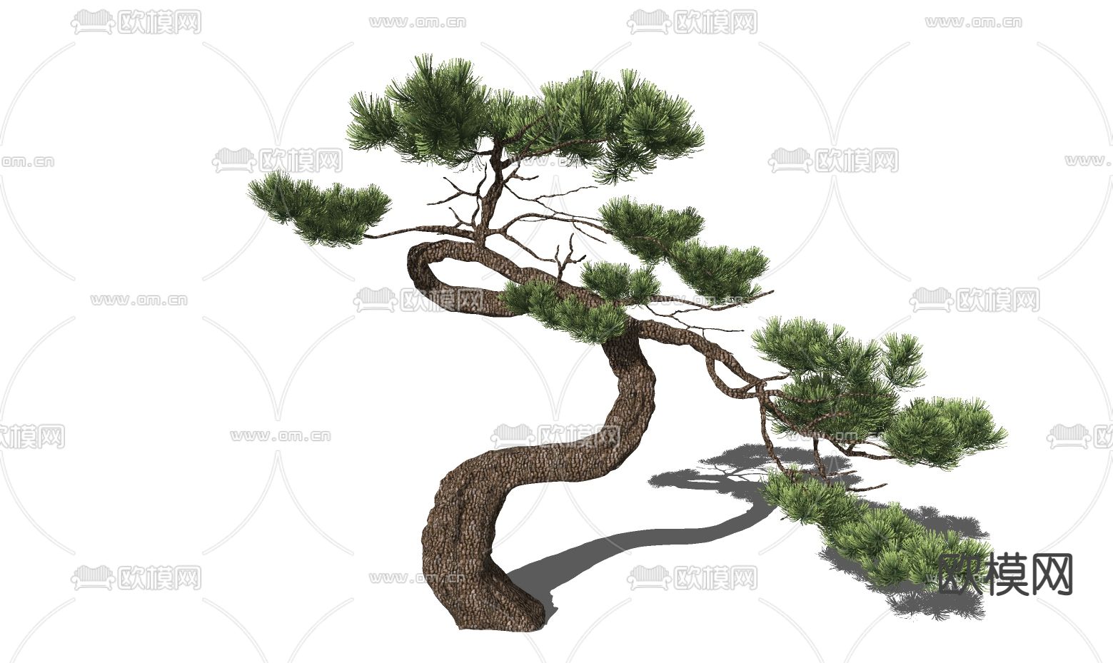 新中式景观树造型松树su模型下载