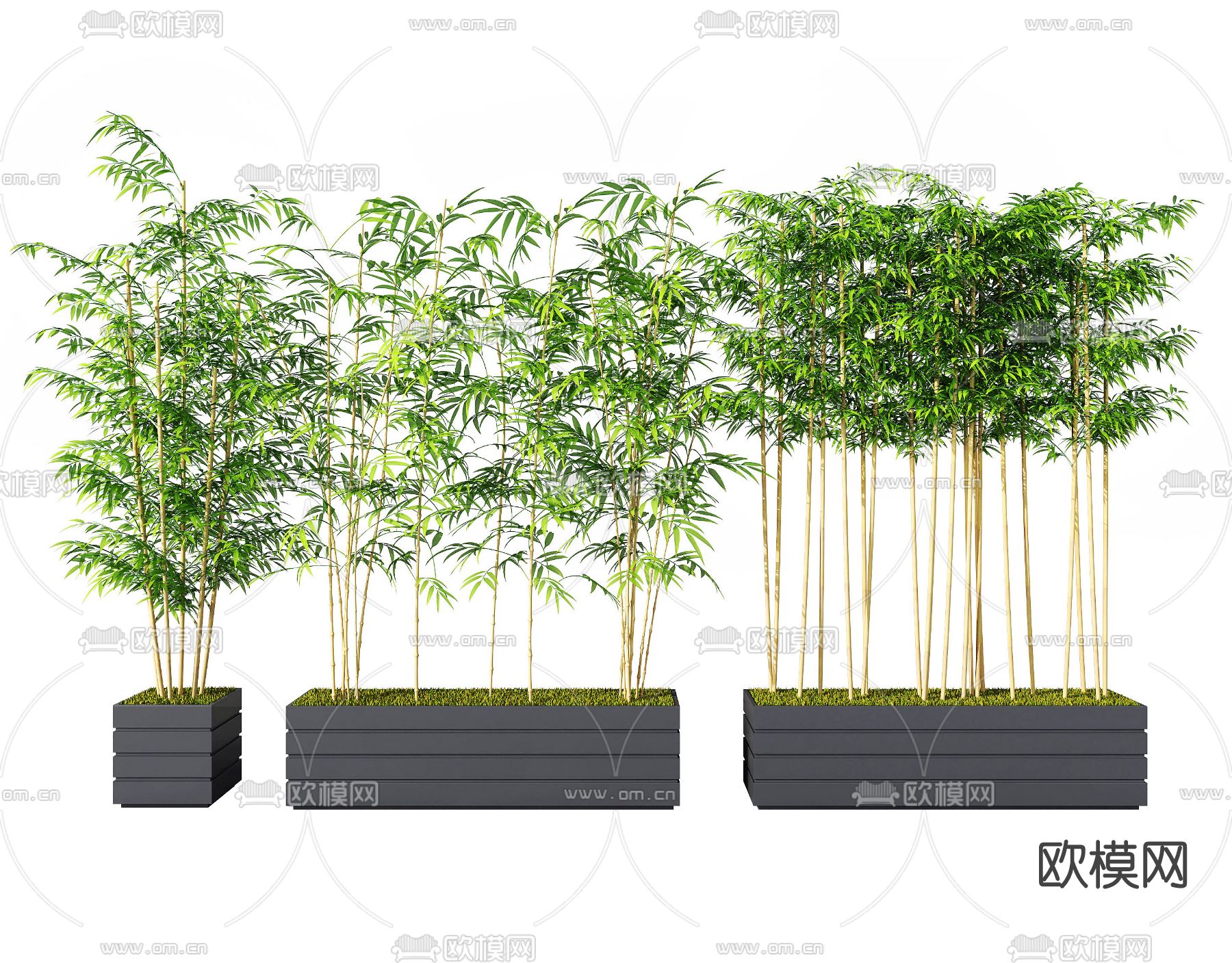 现代竹子3d模型下载