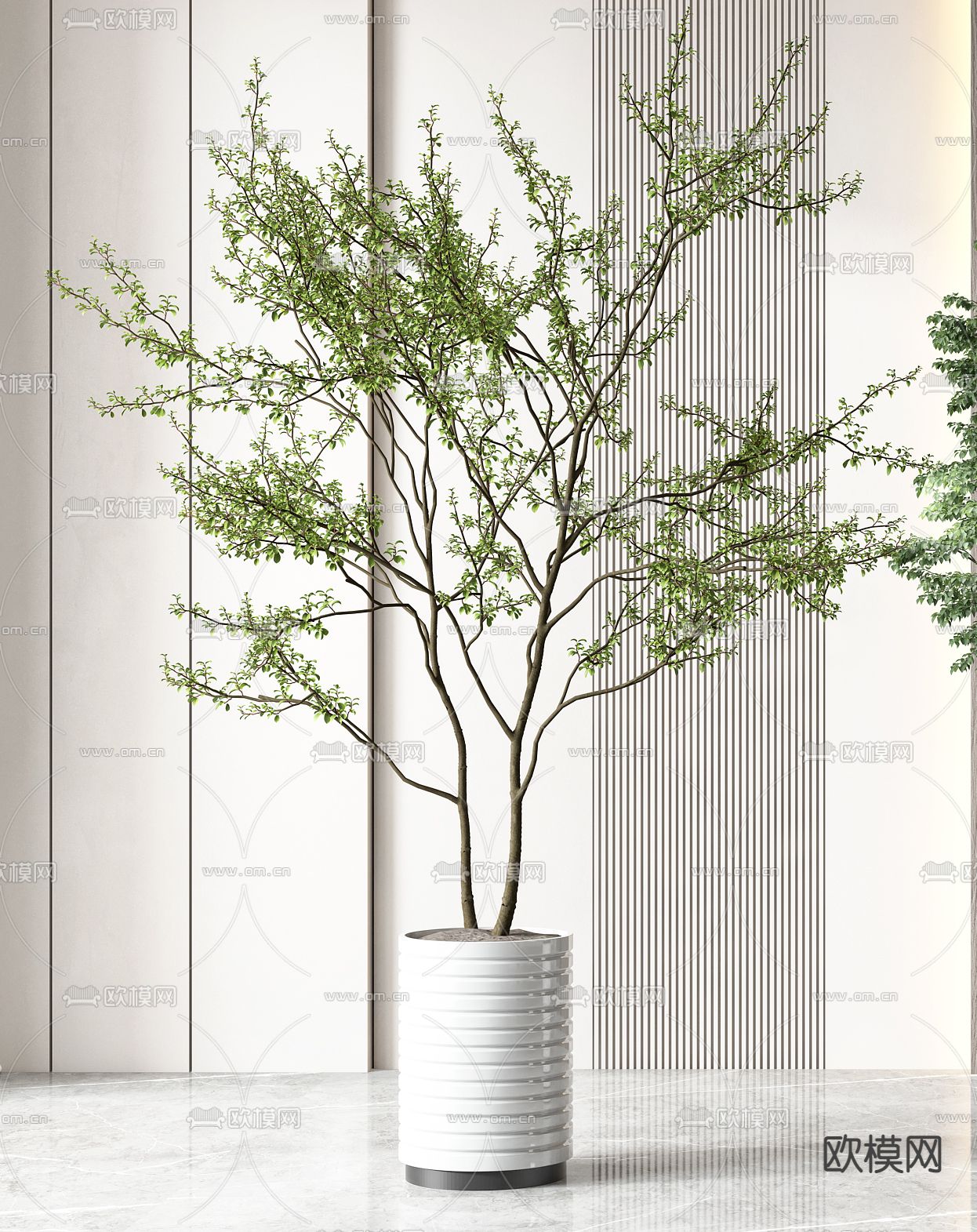 现代植物盆栽3d模型下载（渲染图2）