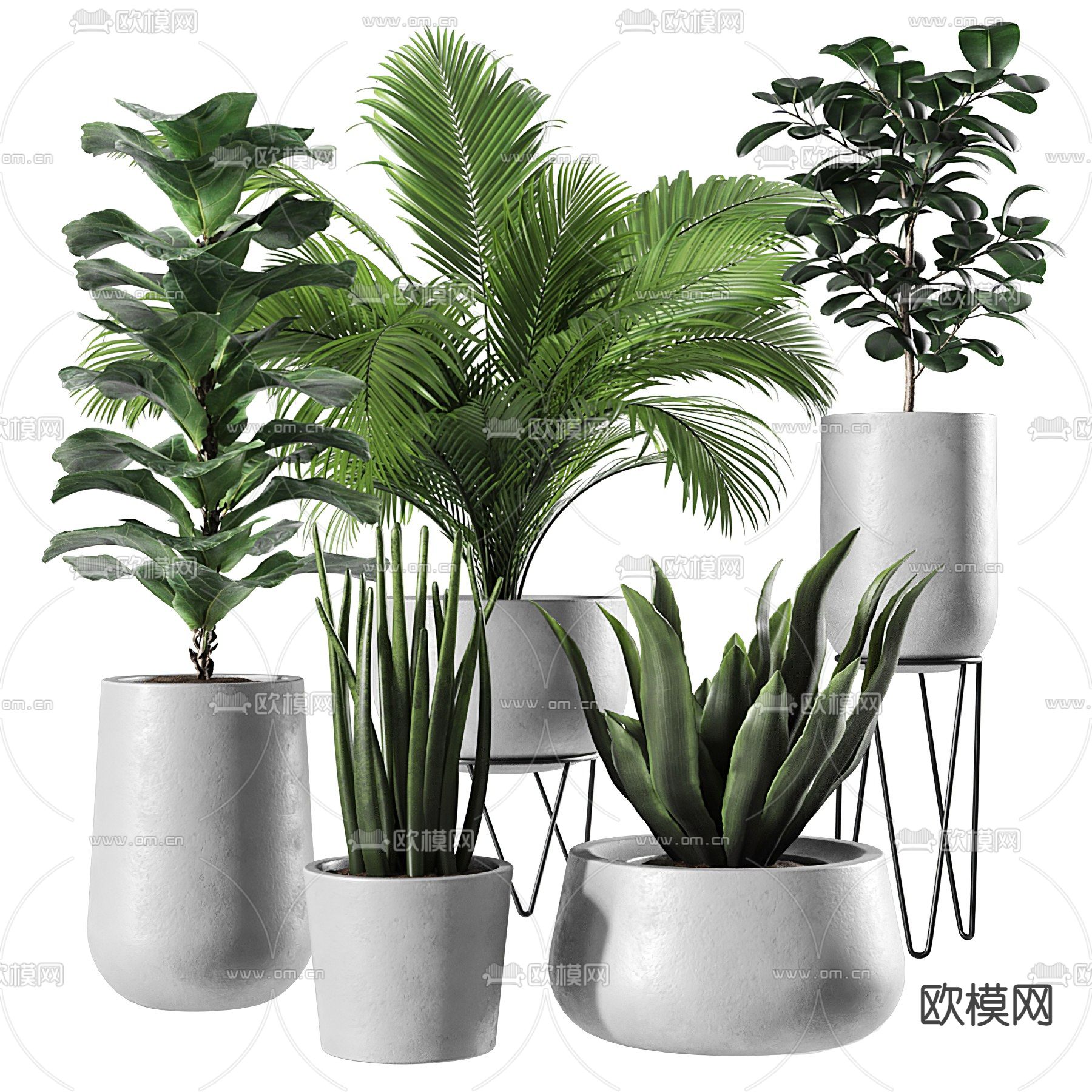 现代绿植盆栽3d模型