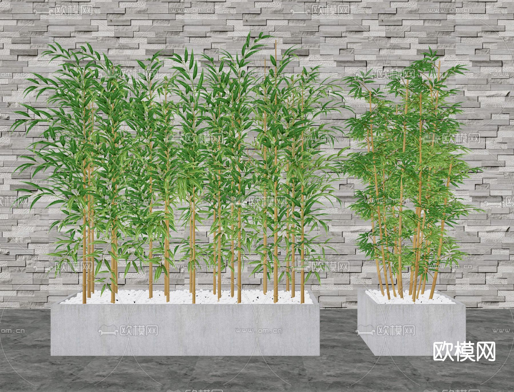 现代竹子盆栽su模型下载（渲染图2）