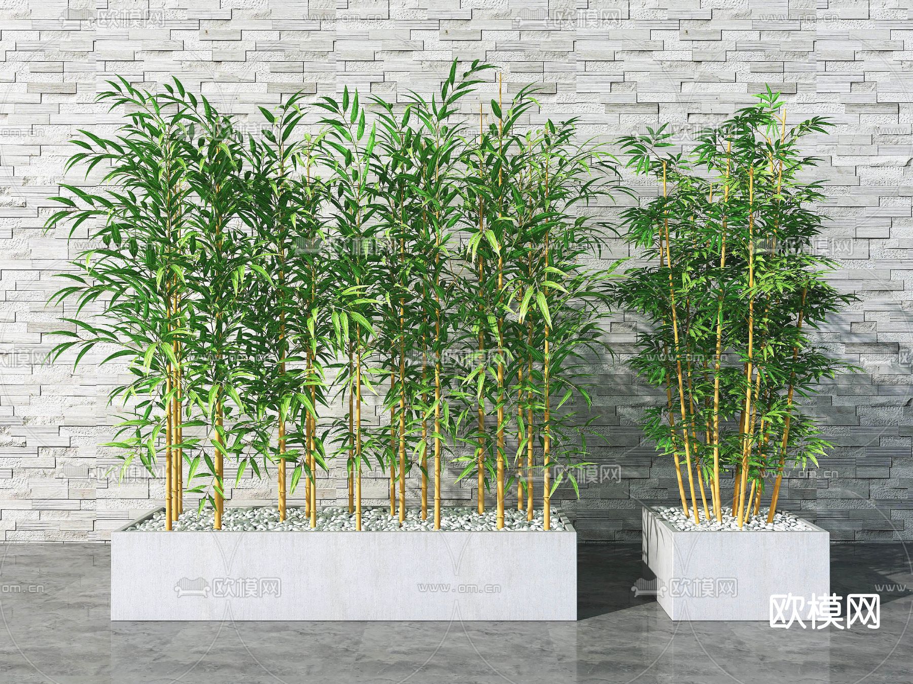 现代竹子盆栽su模型下载（渲染图1）