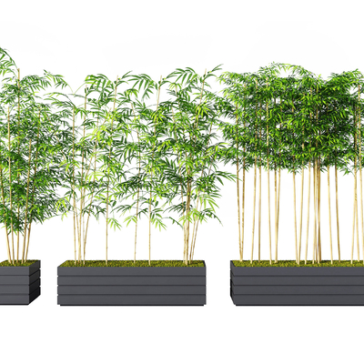  现代竹子盆栽su模型 