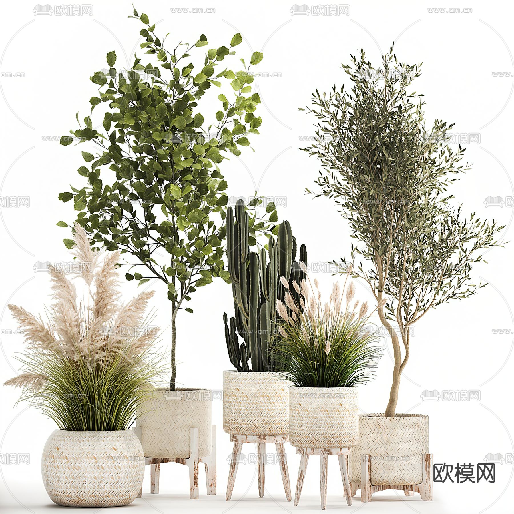 现代绿植盆栽3d模型