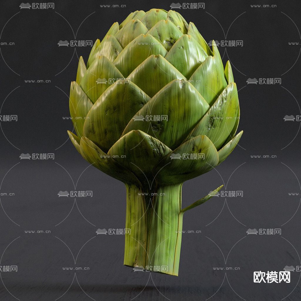 现代蔬菜洋蓟3d模型