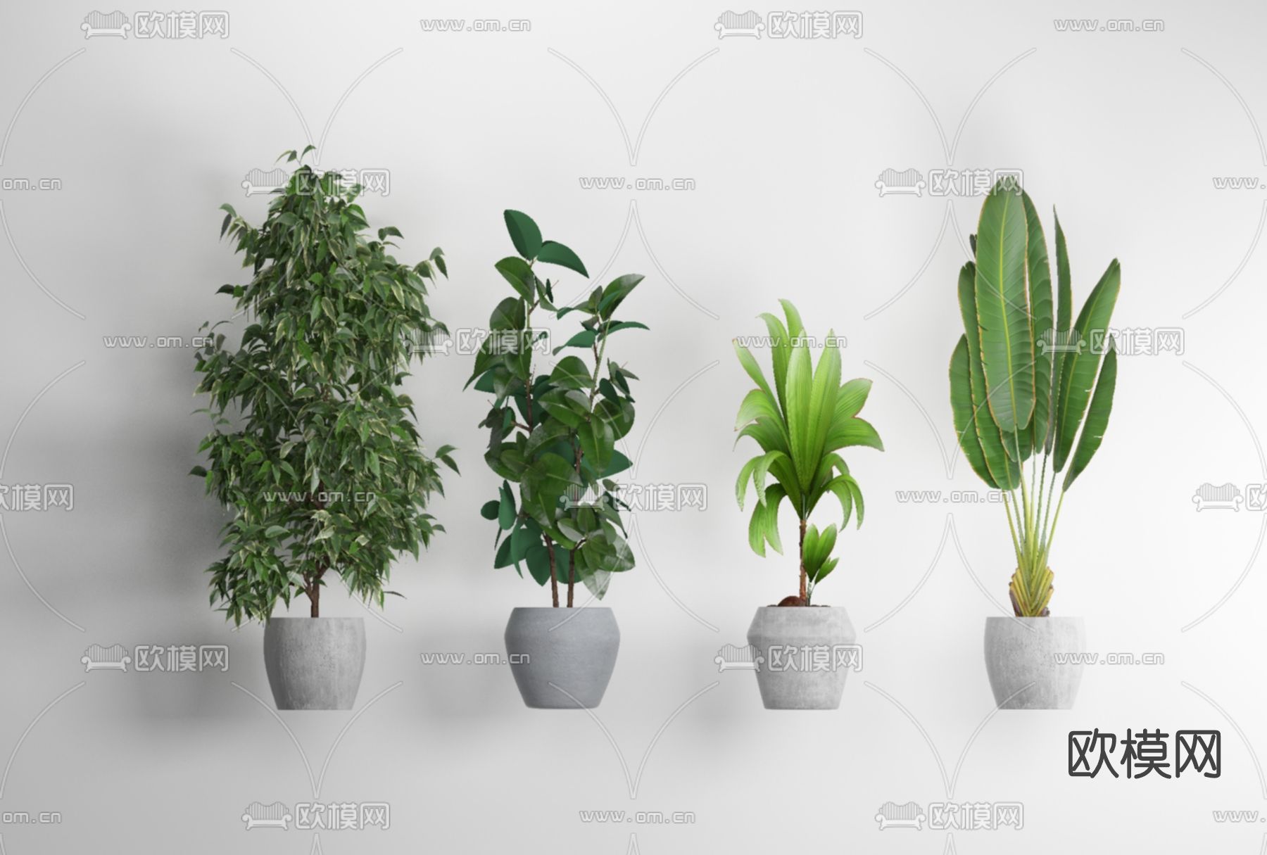 现代植物盆栽免费3d模型下载