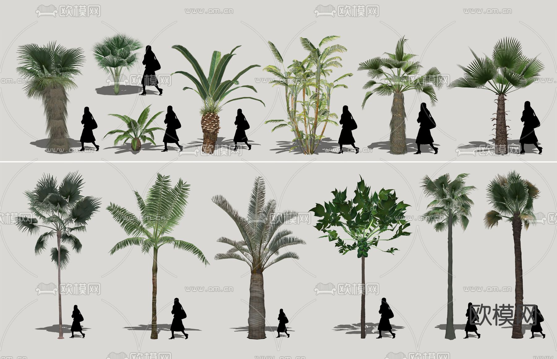 现代棕榈植物su模型