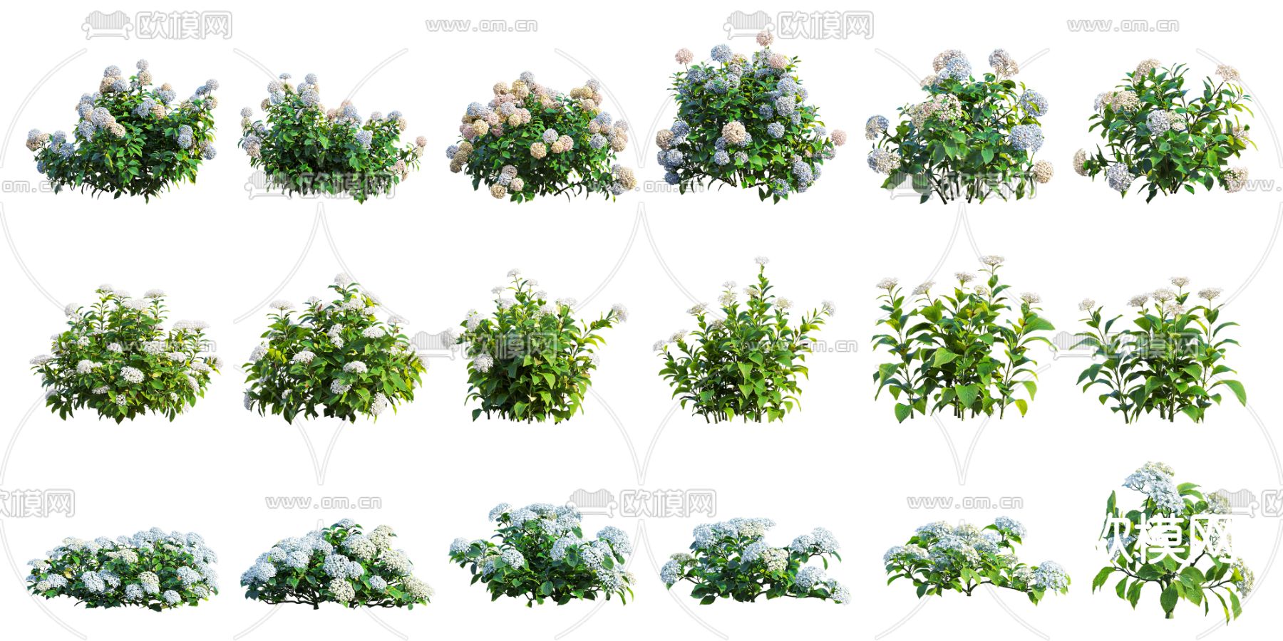 现代绣球花3d模型