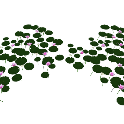  现代荷叶荷花su模型 