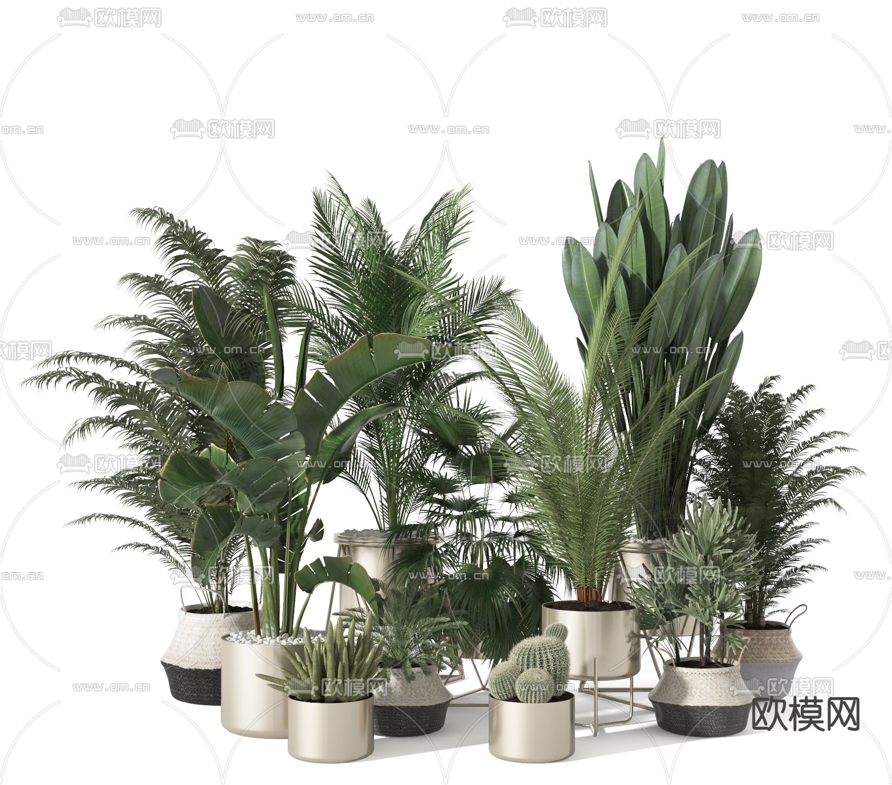 现代植物盆栽盆景3d模型