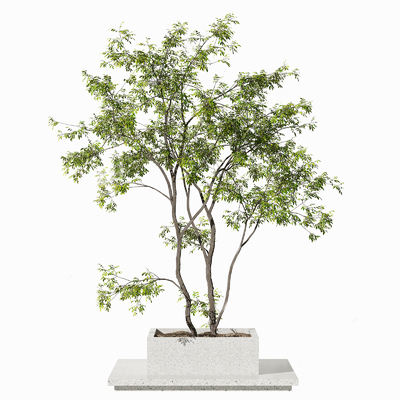  现代花坛花钵su模型 