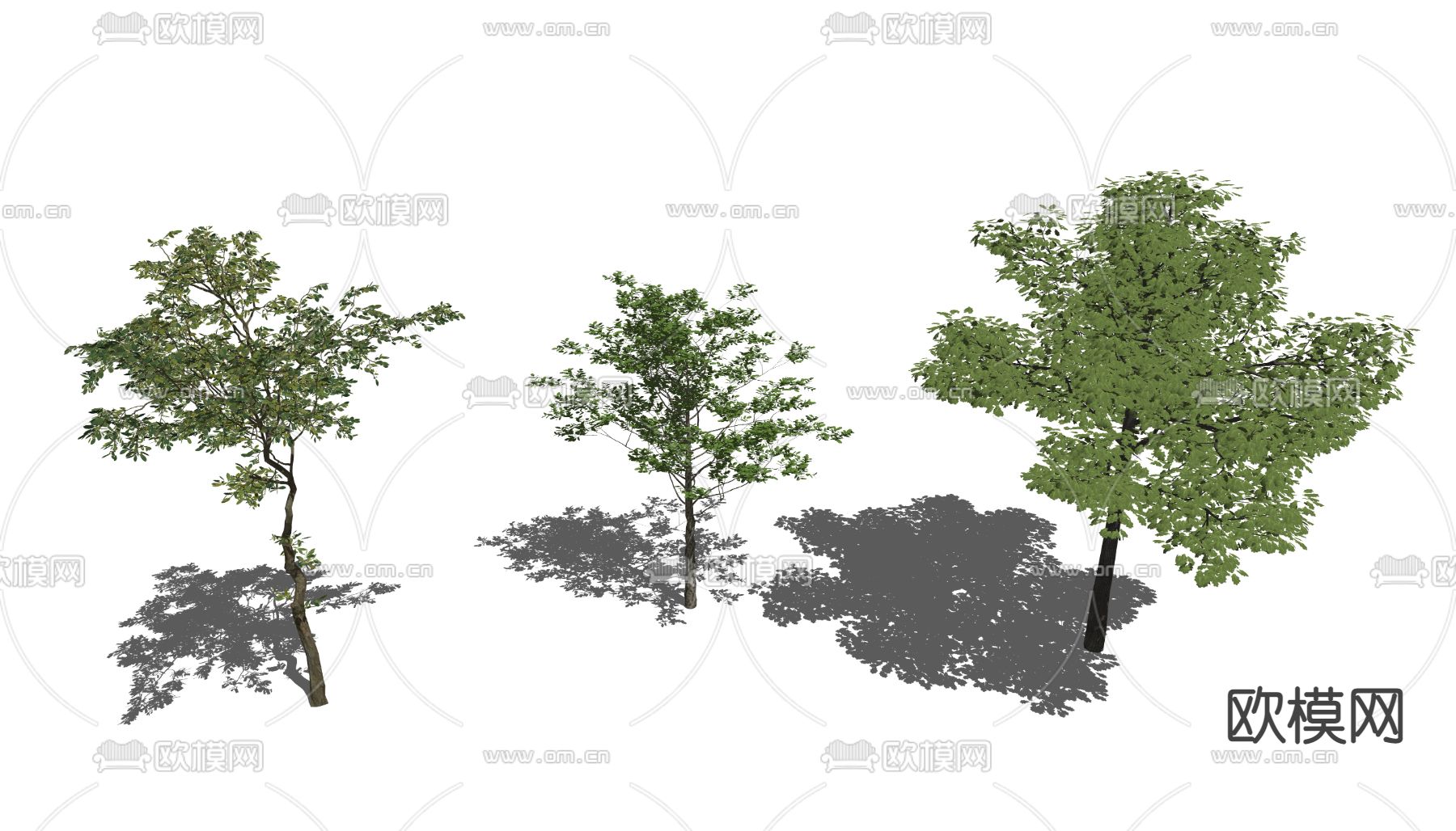 现代景观树su模型下载