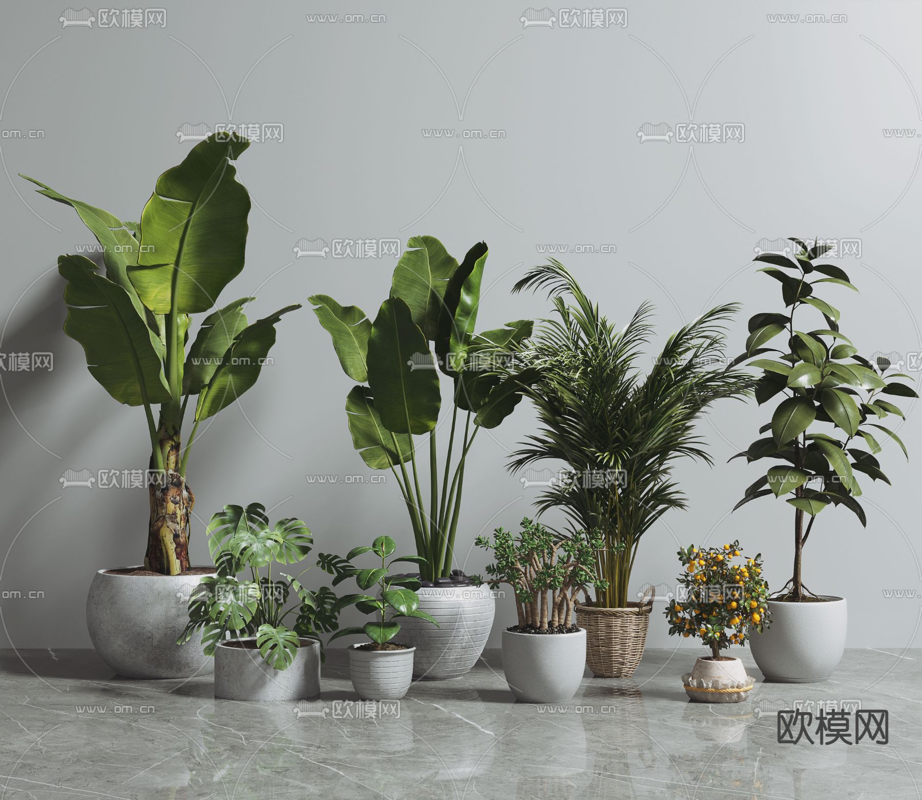 现代绿植盆栽3d模型