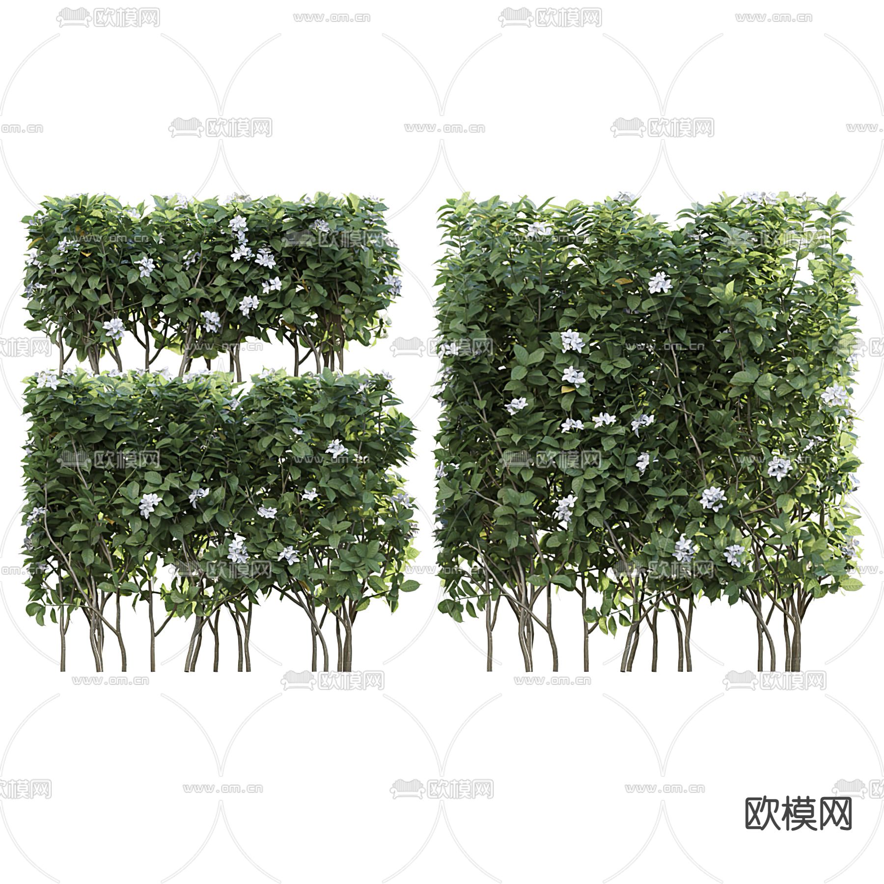 现代灌木绿篱3d模型