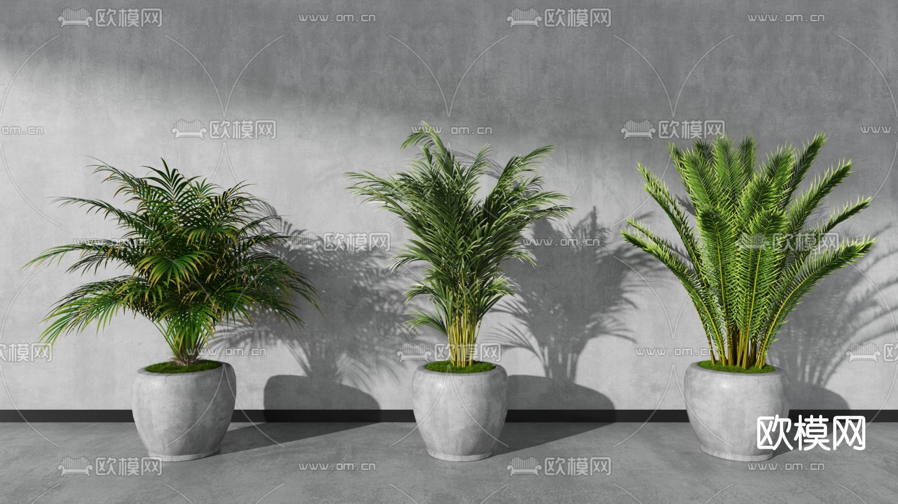 现代盆栽绿植su模型下载（渲染图1）